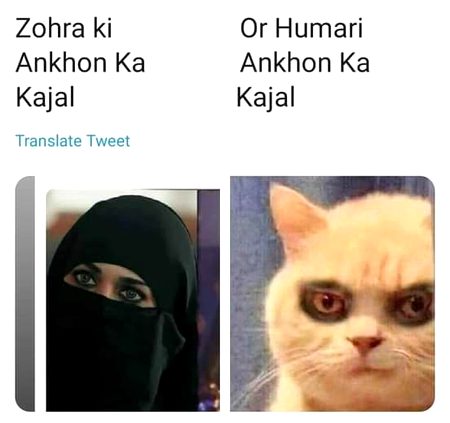 Memes & Satire image