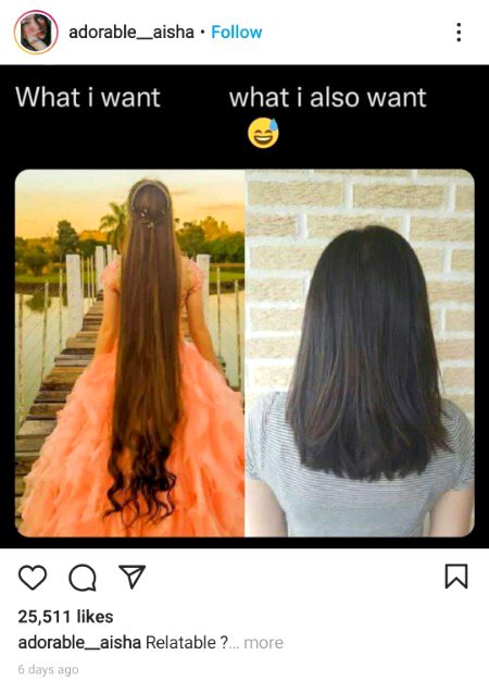 Memes & Satire image