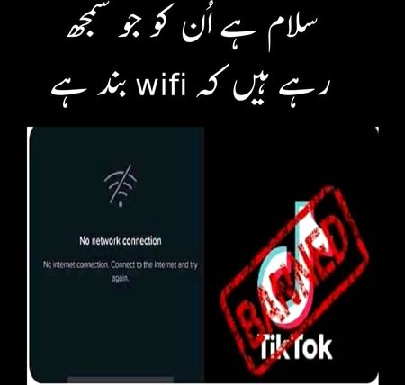 Memes & Satire image