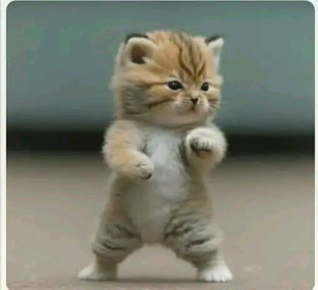 Beautiful Nature image