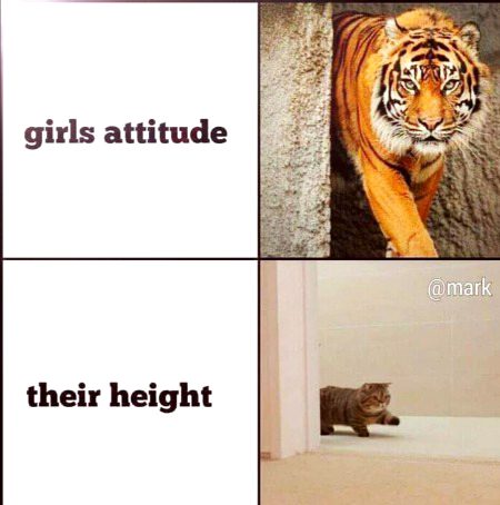 Memes & Satire image