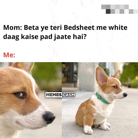 Memes & Satire image