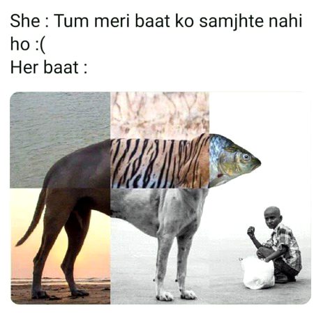 Memes & Satire image