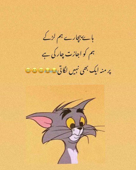 Memes & Satire image