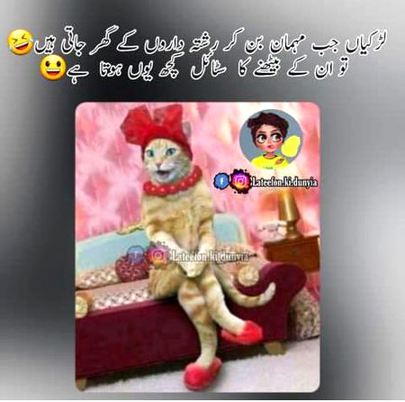 Memes & Satire image