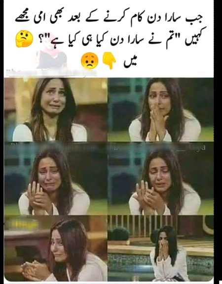 Memes & Satire image