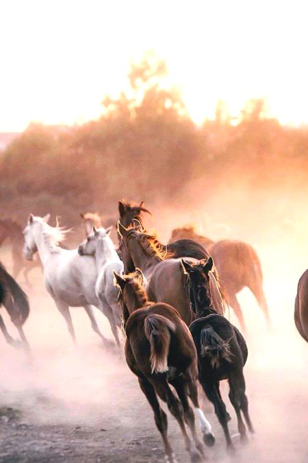 Beautiful Nature image