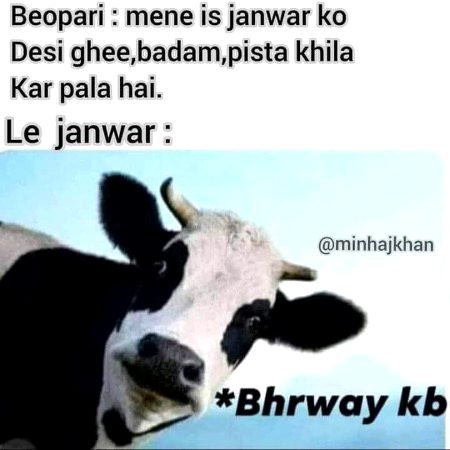 Memes & Satire image