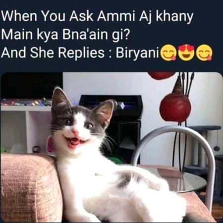 Memes & Satire image