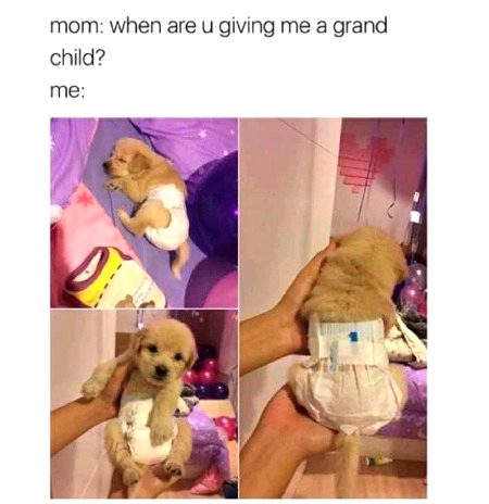 Funny joke