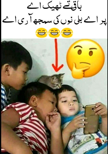 Memes & Satire image