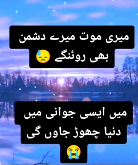 Sad Poetry image