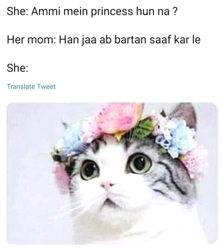 Memes & Satire image