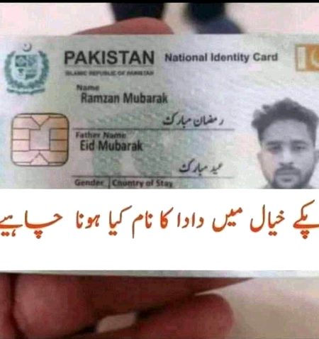 Memes & Satire image