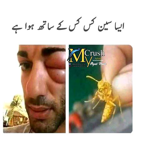 Memes & Satire image