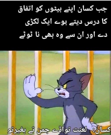Memes & Satire image