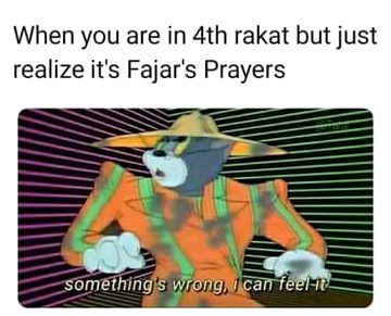 Memes & Satire image