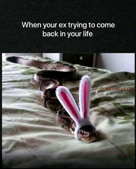 Funny joke