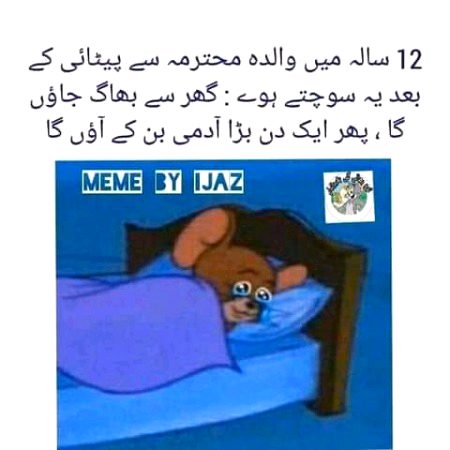 Memes & Satire image