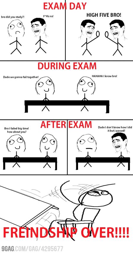 Memes & Satire image