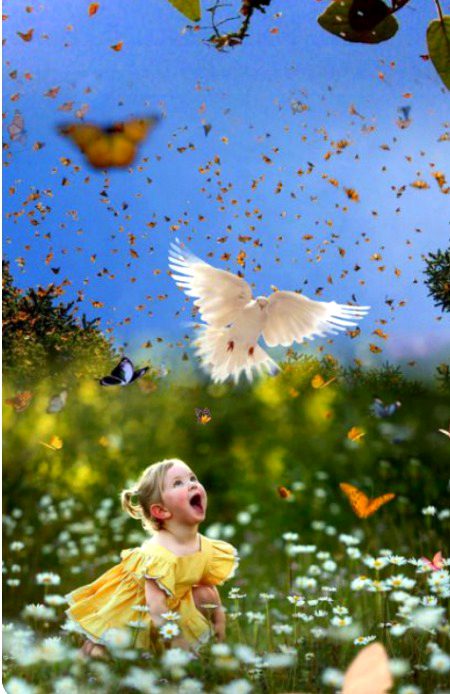 Beautiful Nature image