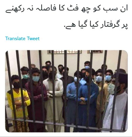 Memes & Satire image