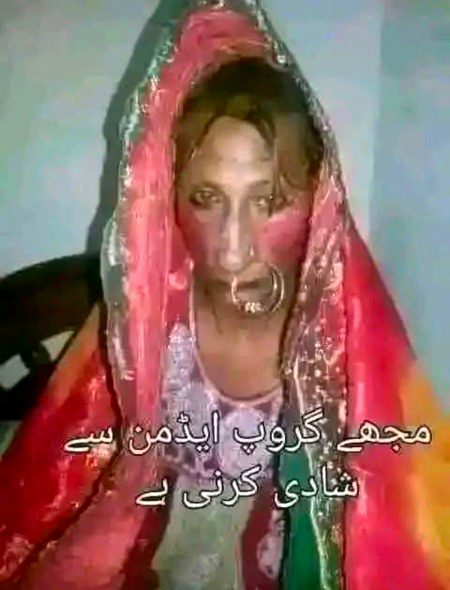 Memes & Satire image