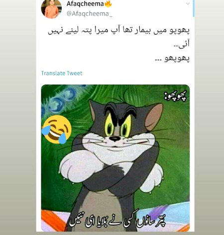 Memes & Satire image