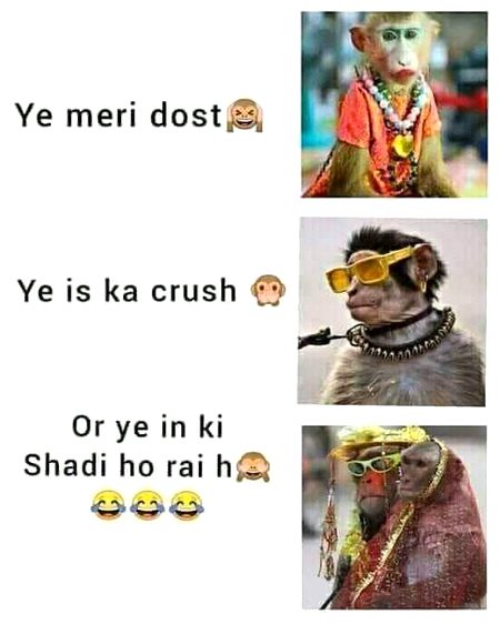 Memes & Satire image