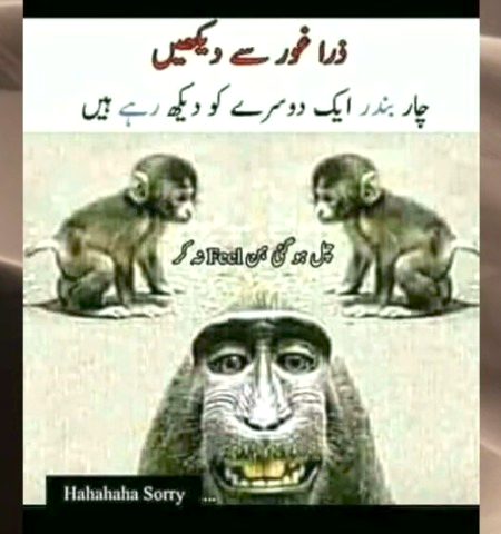 Funny post, fun post