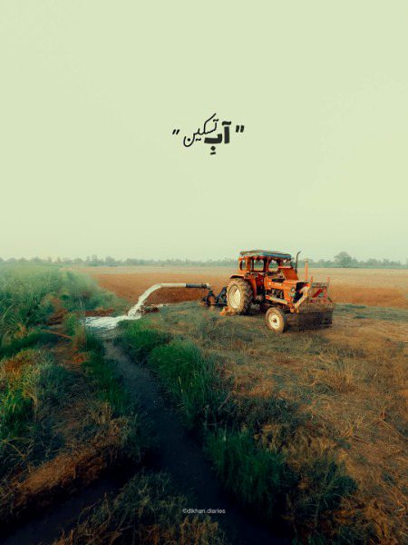 Beautiful Nature image