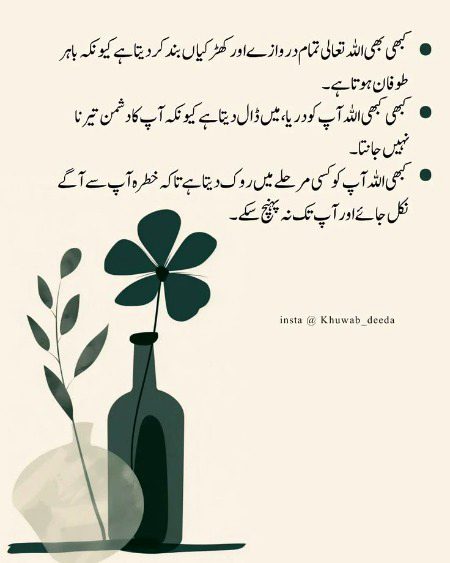 Islamic Quotes image