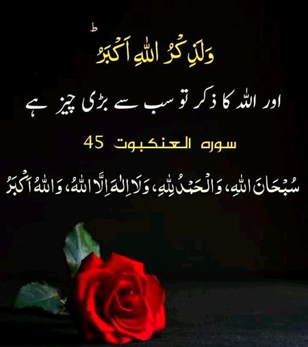 Islamic Quotes image