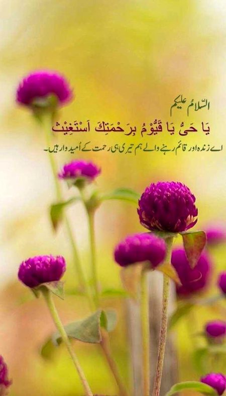 Islamic Quotes image