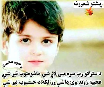 Good afternoon