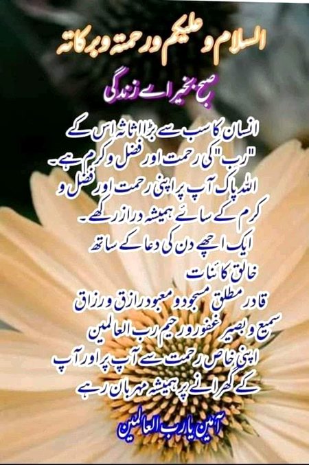Good afternoon