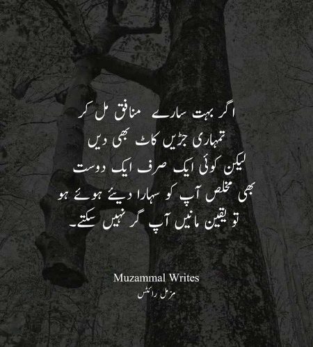 Good afternoon