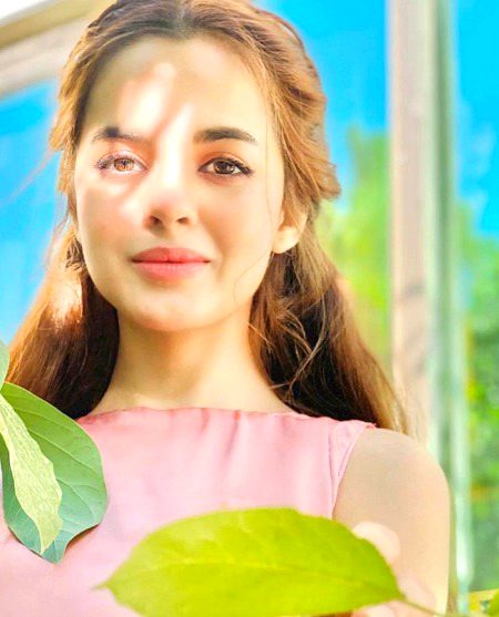 Pakistani Celebs image