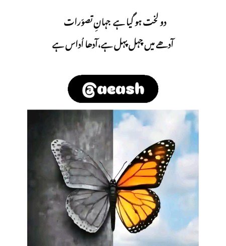 Sad Poetry image