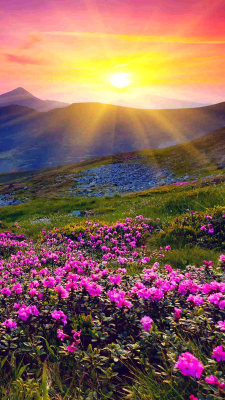 Good afternoon