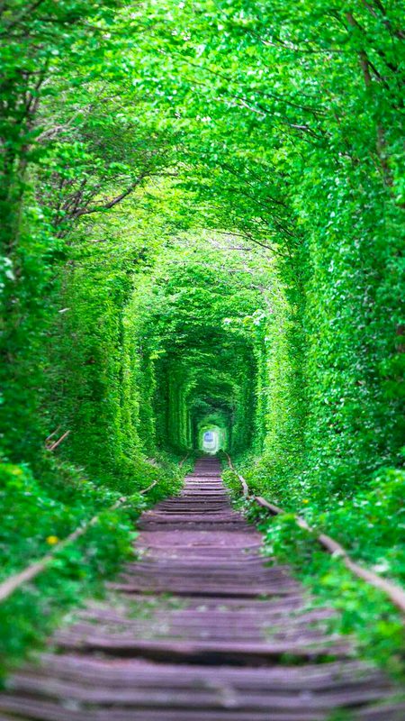 Beautiful Nature image