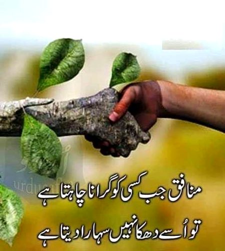 Good afternoon
