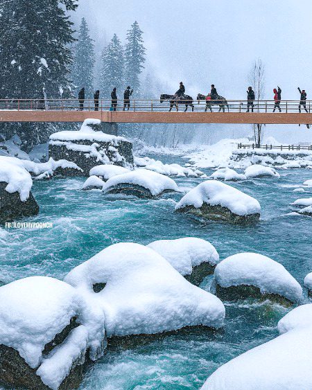 Beautiful Nature image