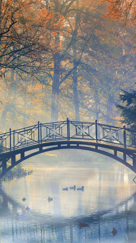 Beautiful Nature image