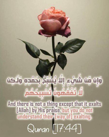 Good afternoon