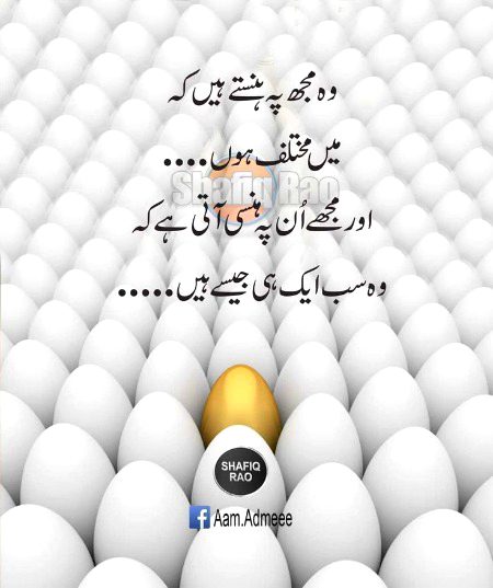Good afternoon