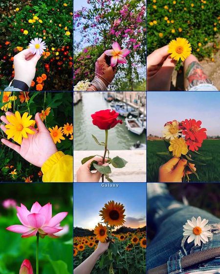 Beautiful Nature image