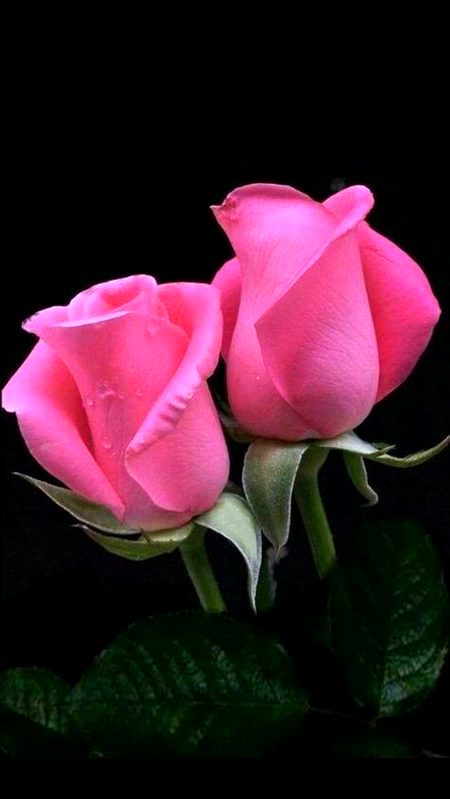 Beautiful Nature image