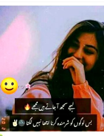 Attitude Quotes image