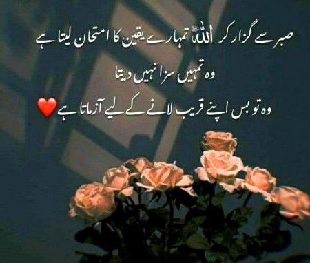 Islamic Quotes image